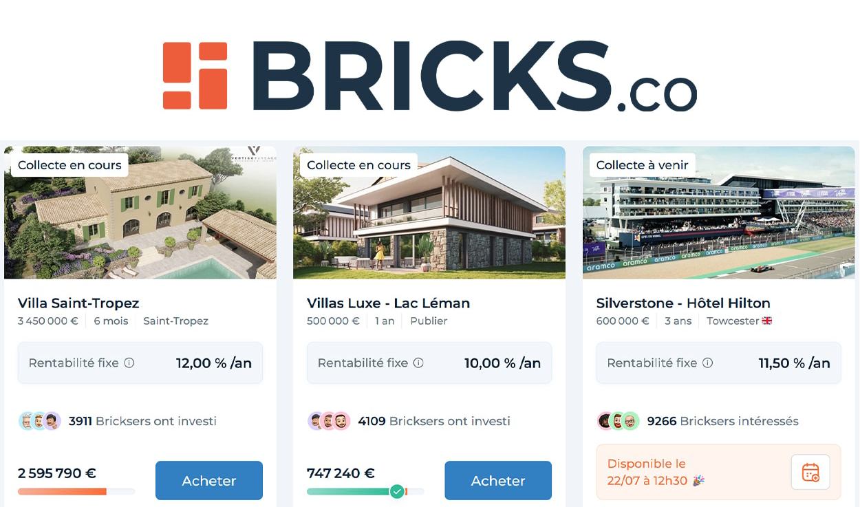Avis Bricks : ce que j’en pense (c’est négatif)