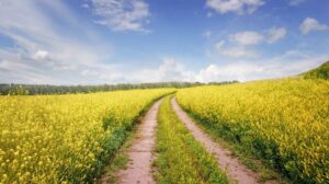 terrain agricole astuce