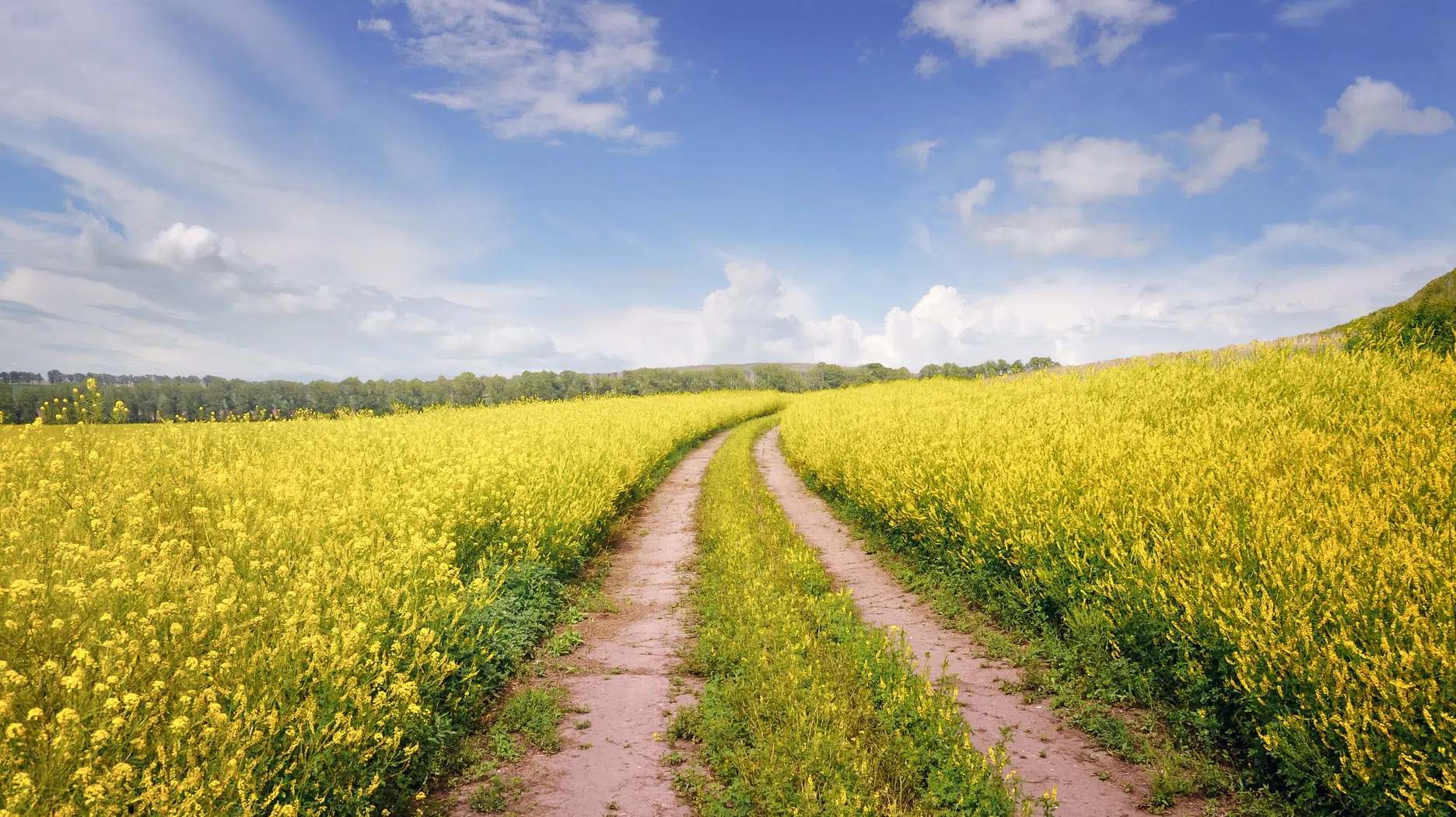 L’astuce pour acheter un terrain agricole sans être agriculteur